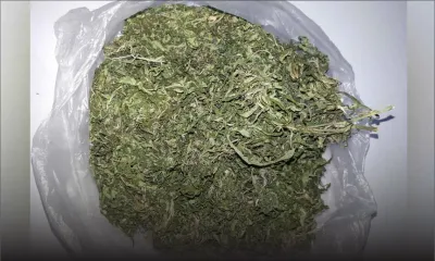 Le Morne : un coiffeur arrêté avec 130 grammes de cannabis 