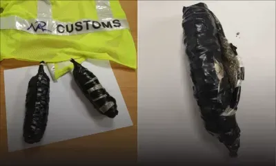 Aéroport : arrêté avec de la drogue dans ses sous-vêtements 