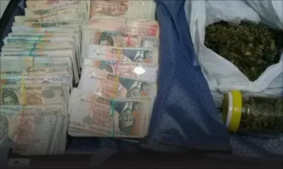 Flic-en-Flac : saisie de Rs 2 millions en grosses coupures et 300 grammes de cannabis