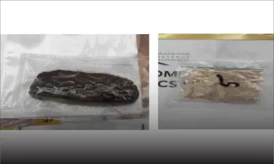 Parcel Post Office : des colis contenant du cristal meth et du cannabis saisis