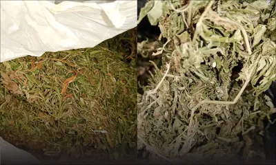 Aéroport SSR : venues récupérer de la drogue, mère et fille arrêtées 