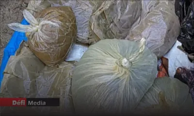 De l’héroïne et du cannabis synthétique enfouis sous le sable sur l'Île aux Bénitiers