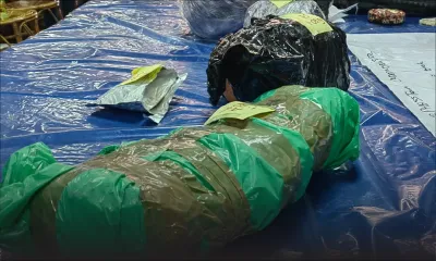 Saisies de drogues : pourquoi la police peine-t-elle à remonter jusqu’aux barons ?