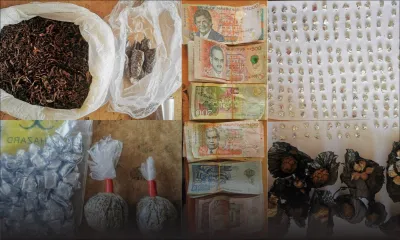 Rivière-Noire : saisie de Rs 2, 2 M de drogues chez une jardinière