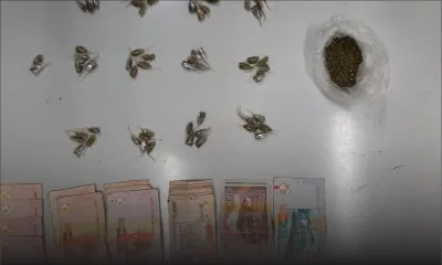 Trafic de cannabis : un présumé dealer écroué