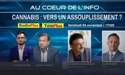 Consommation et possession de drogue : vers un assouplissement de la loi ?