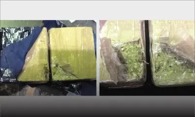 4 kg de cannabis expédiés : le nom d’Alvaro Sobrihno utilisé à tort