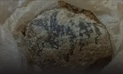 Roche-Bois : saisie de plus de Rs 4 millions de drogues