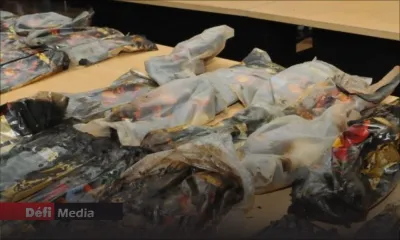 Saisie de haschich dans la voiture de Laurette : l’enquête de la MCIT quasiment bouclée