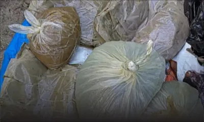 Île aux Bénitiers : plusieurs kilos d'héroïne et du haschisch découverts