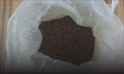 Un demi-million de drogue synthétique saisie chez un peintre