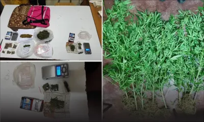 Culture de gandia: un pêcheur pris dans les filets de l’ADSU 