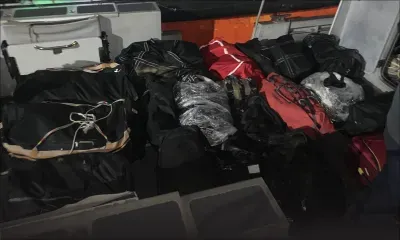 Saisie de 222,5 kilos de cannabis : l’épouse d’un présumé maillon fort du réseau coffrée 