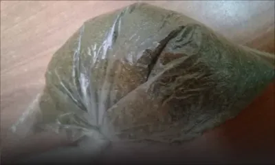 Saisie de Rs 90 000 drogue synthétique : trois personnes, dont un mineur, écroués