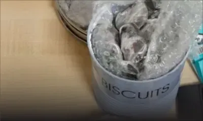 Saisie de 13,1 kilos d'haschisch à l'aéroport : un policier et son épouse arrêtés