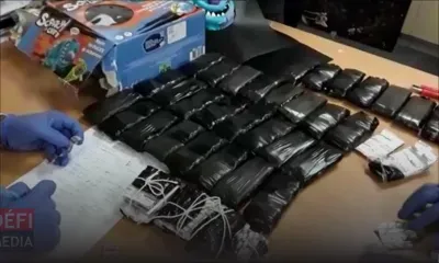 2 310 plaquettes de Subutex retrouvées dans les bagages de deux enfants à Plaisance : les deux frères de 6 et 9 ans pris en charge par leur tante 