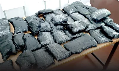 Saisie de drogue dans la zone portuaire : les 14 kg de cannabis seraient destinés au marché malgache 