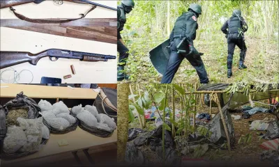 Saisie de Rs 60 M de cannabis à Baie-du-Cap : des trafiquants armés du Sud-ouest dans le viseur de la SST