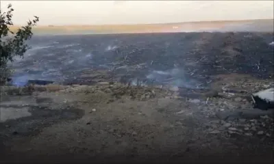 Un incendie ravage des champs de canne dans le Nord  