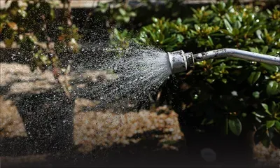 Sécheresse : restrictions sur l'utilisation d'eau à Londres