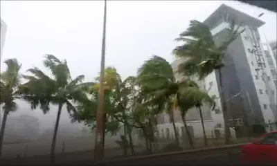 Ébène à Bagatelle : accumulations d’eau à certains endroits