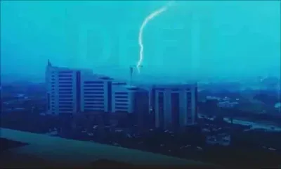 La foudre s’abat sur une grue à ébène