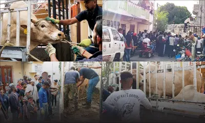 [Reportage] L'Eid ul-Adha célébrée à Maurice ce lundi 12 août 