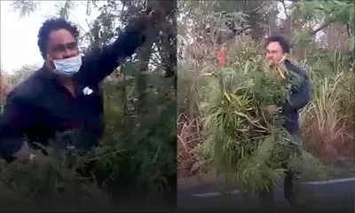 Confinement  : «Pas facile, mais je dois vivre…», confie un éleveur du Nord