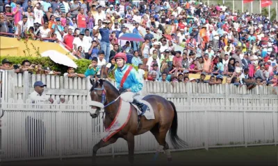 Hippisme : Enaad remporte la Maiden Cup 2017 