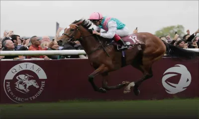 Prix de l'Arc de Triomphe : la jument Enable réalise le doublé