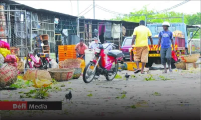 La foire à l’encan reste fermée