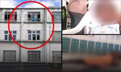 Quatre-Bornes : deux enfants de 3 et 4 ans laissés seuls avec un chien et un singe dans leur appartement 