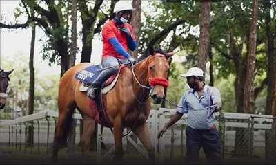 Centre Guy Desmarais : le début des séances d’entraînement des chevaux renvoyé à mardi