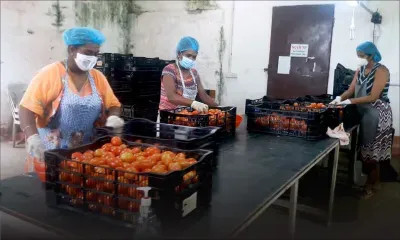 « Top Nature » une entreprise frappée par la crise découvre la solidarité familiale avec les travailleurs