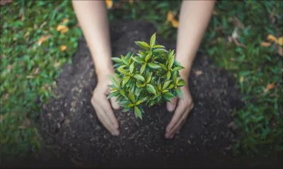 Environnement : des actions durables avec le Défi Media Group