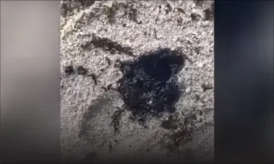 Traces d’huile à Pointe-d’Esny : les autorités soupçonnent un acte délibéré 