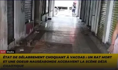 État de délabrement choquant à Vacoas : un rat mort et une odeur nauséabonde aggravent la scène déjà chaotique