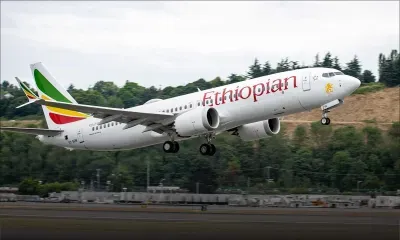 Ethiopian Airlines, la première compagnie africaine, se bat «pour sa survie»