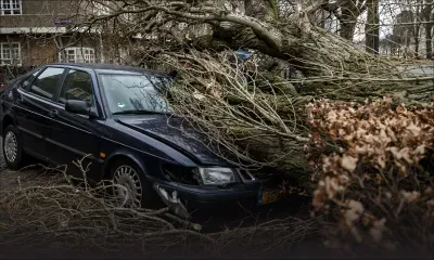 La tempête Eunice balaie le nord de l'Europe, faisant au moins 13 morts