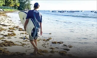 Sur un site web de référence : un surfeur américain se plaint d’avoir éte bousculé à Tamarin  