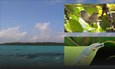 Défi Deal : une pause verte sur l’île-aux-Aigrettes 