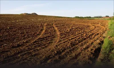 Permis de conversion de terrain : le ministère de l’Agro-industrie lance un help desk