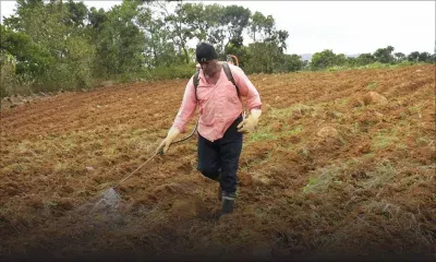 Laboureur, planteur et commerçant: ANAND L'INFATIGABLE