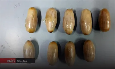 Rose-Hill : du cannabis, de l'héroïne et de la drogue synthétique saisis, une dame et son voisin arrêtés 