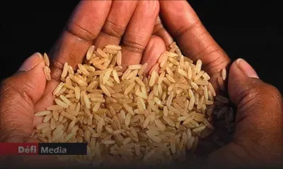 Le monde "s'éloigne de ses objectifs" d'éradiquer la faim en 2030, selon la FAO