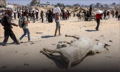 Trump dit voir des signes de "réelle famine" à Gaza