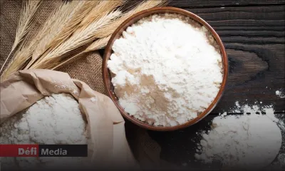 Les boulangeries déplorent la mauvaise qualité de farine qui leur est fournie