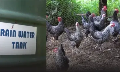 Visite à la ferme écologique du Sud