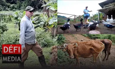 Zéro pesticides : bienvenue à Laferm Coco, une ferme 100 % nature 