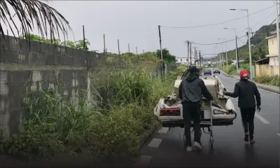 Des «marsan feray» pas dérangés par le confinement trimballent leur bric-à-brac à Rose-Hill